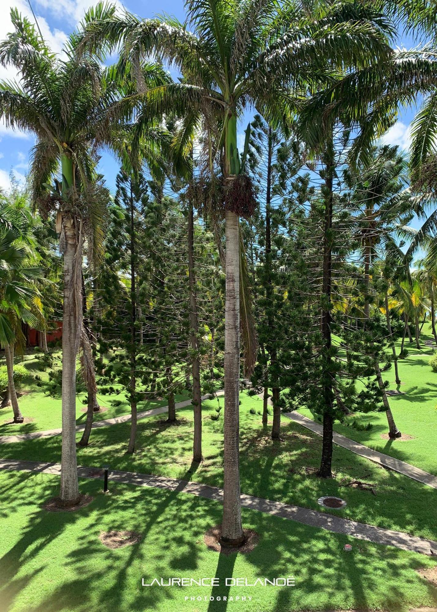Appartement Varangue, Anse Des Rochers Saint-Francois  Ngoại thất bức ảnh